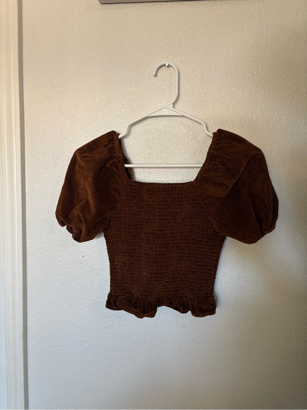 American Eagle Outfitters Brown Smocked Puff Sleeve Crop Top
